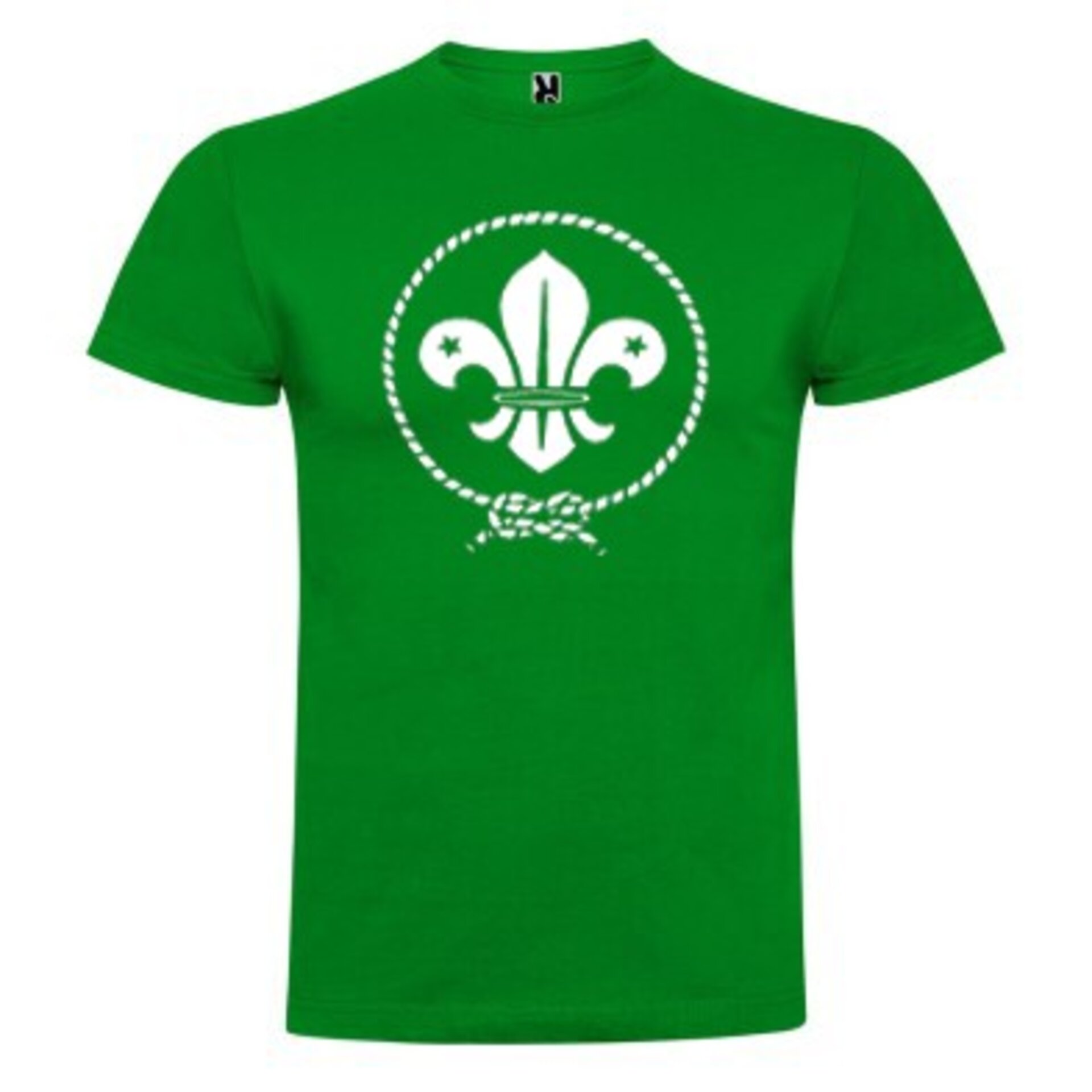 Scouts logo - 3