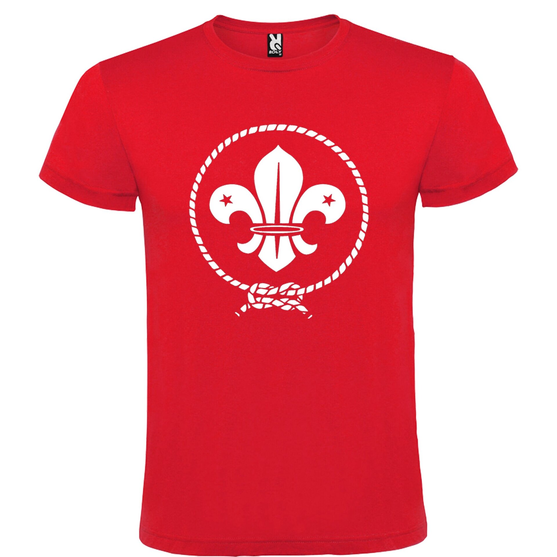 Scouts logo - 5
